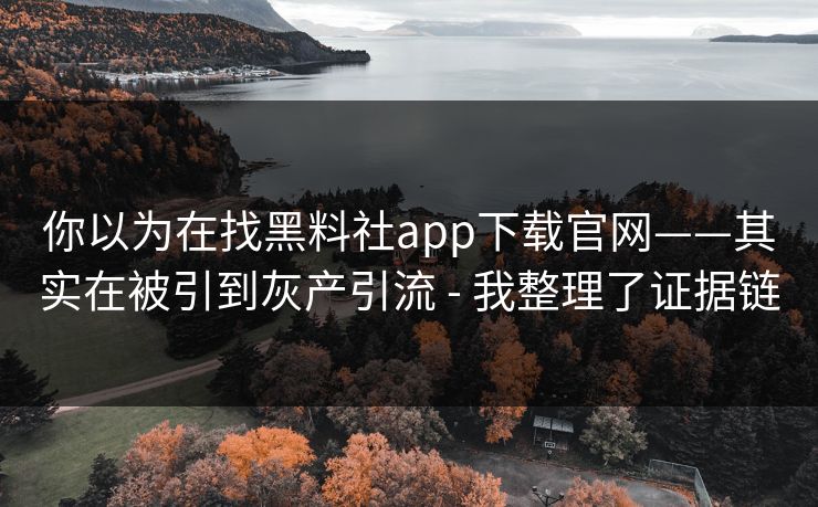 你以为在找黑料社app下载官网——其实在被引到灰产引流 - 我整理了证据链