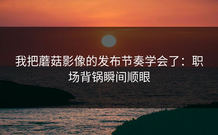 我把蘑菇影像的发布节奏学会了：职场背锅瞬间顺眼