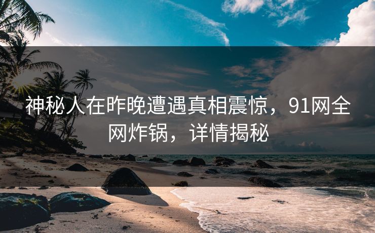 神秘人在昨晚遭遇真相震惊，91网全网炸锅，详情揭秘