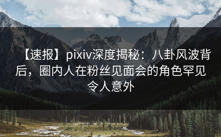 【速报】pixiv深度揭秘：八卦风波背后，圈内人在粉丝见面会的角色罕见令人意外