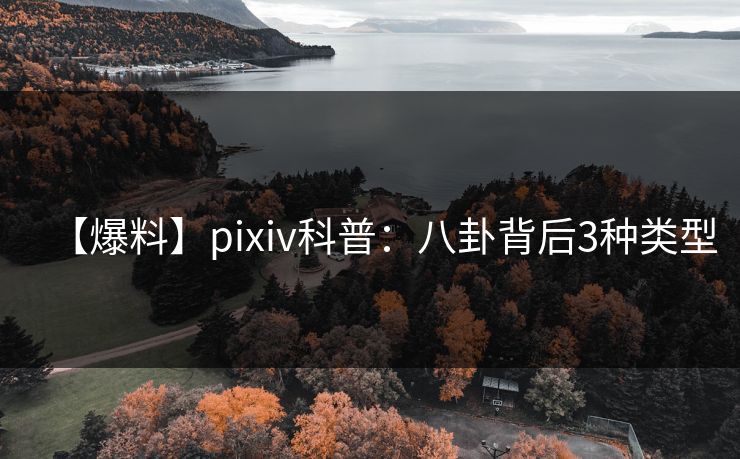 【爆料】pixiv科普：八卦背后3种类型