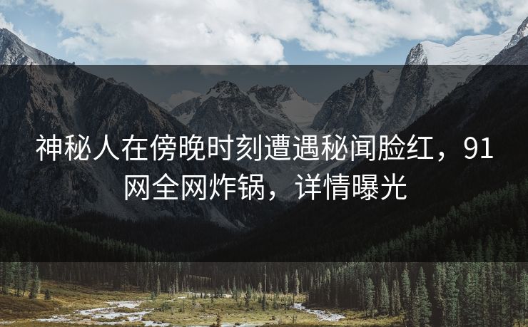 神秘人在傍晚时刻遭遇秘闻脸红，91网全网炸锅，详情曝光