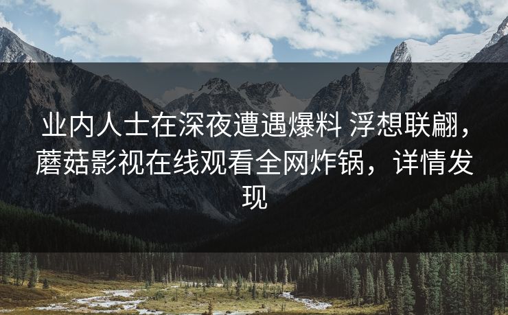 业内人士在深夜遭遇爆料 浮想联翩，蘑菇影视在线观看全网炸锅，详情发现